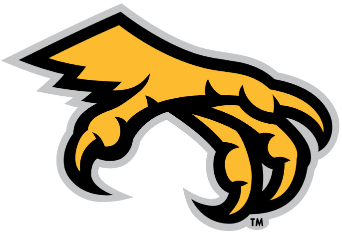 Kennesaw State Owls 2012-Pres Alternate Logo v2 DIY iron on transfer (heat transfer)